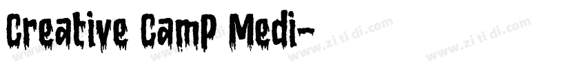 Creative CamP Medi字体转换